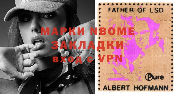 шишки Аркадак