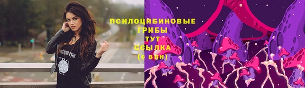 первитин Арсеньев