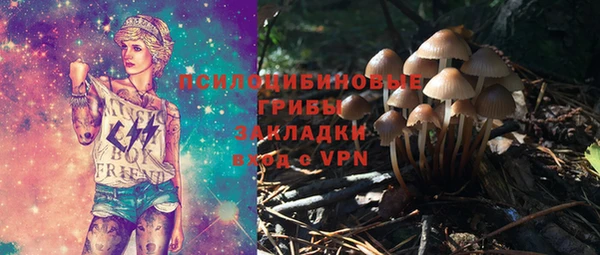 шишки Аркадак