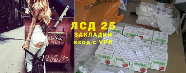 шишки Аркадак