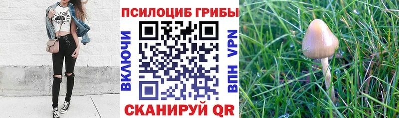 Галлюциногенные грибы GOLDEN TEACHER  где продают наркотики  hydra ONION  Удачный 